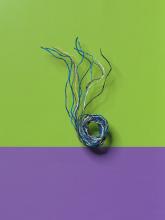 CORDONES